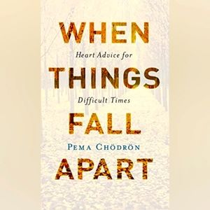 LIKE NEW When Things Fall Apart by Pema Chodron